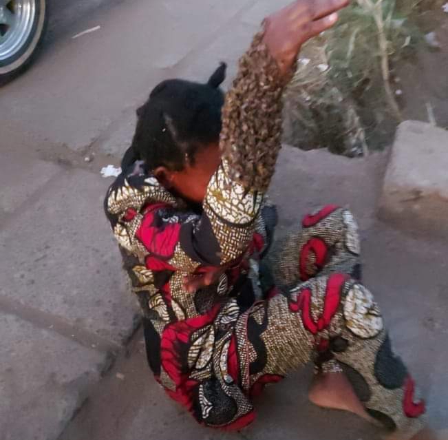 Drama in Machakos Bus Park as bees surround woman suspected to have stolen a foreigner’s bag