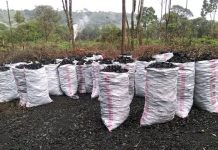 Kitui County officials working with charcoal traders despite ban fb_img_1552748095180
