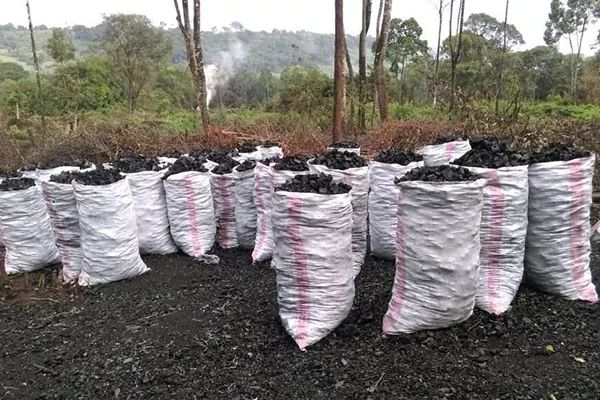 Kitui County officials working with charcoal traders despite ban