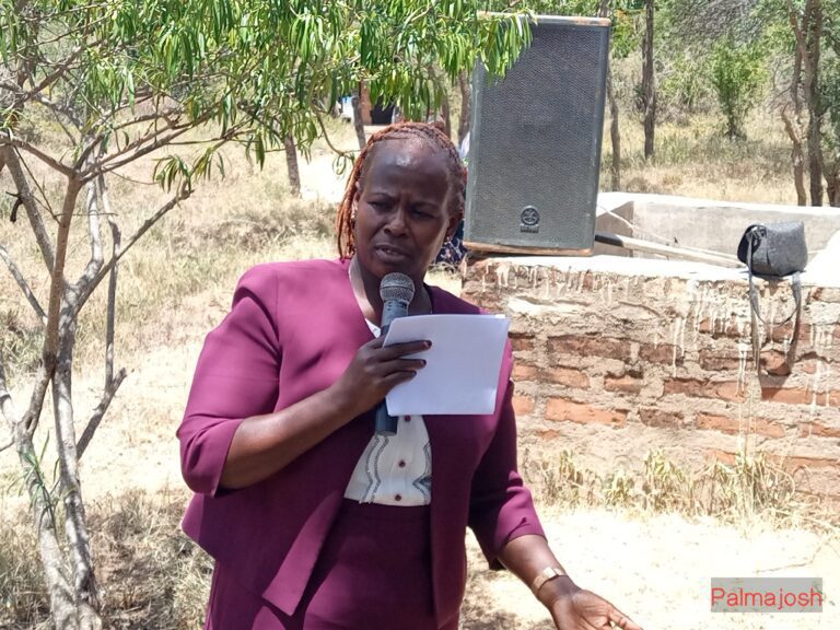 Stop Lying that we didn’t Approve Budgets, Show us the 54B – Kauwi Ward MCA to Ngilu