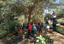 Shock as Body of a Baby Found Dumped in a Muguka sack near Kalundu River, Kitui