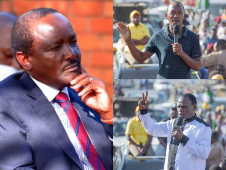 Kalonzo declares war on UDA MPs Munyaka and Kawaya