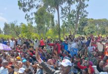 Stop forcing Wavinya on Machakos people- Azimio Lower Eastern coordinator tells Kalonzo 254722526690_status_5b3603652c2f4c369d407692c01767a9