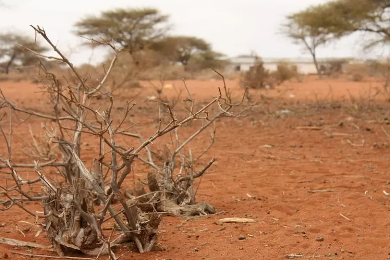 3 dead as drought continues to ravage Kitui county