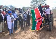 Inside Governor Wavinya’s ambitious Chakula Mezani Program
