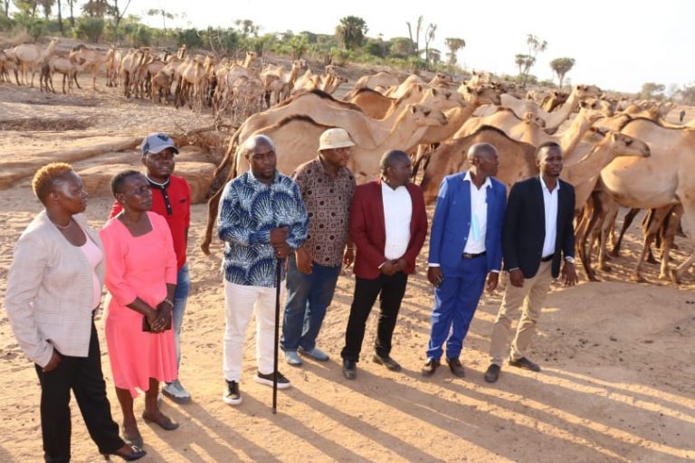 Senator Kiio Takes on Ruto for Appointing Duale, Gives Ultimatum to Camel Herders
