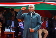 Machakos Deputy Governor Defends Wavinya’s CEC Nominees