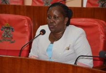 Machakos Water, Irrigation, and Climate Change CEC- Who is Catherine Mutanu Raphael?