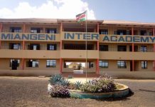 How Top Primary Schools in Makueni performed in KCPE 2022