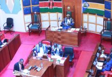 Ex-Radio presenter Jacqueline Kalenga rises to Kitui Assembly Majority leadership