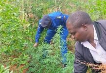 Mwala Subcounty 2022 Security Report