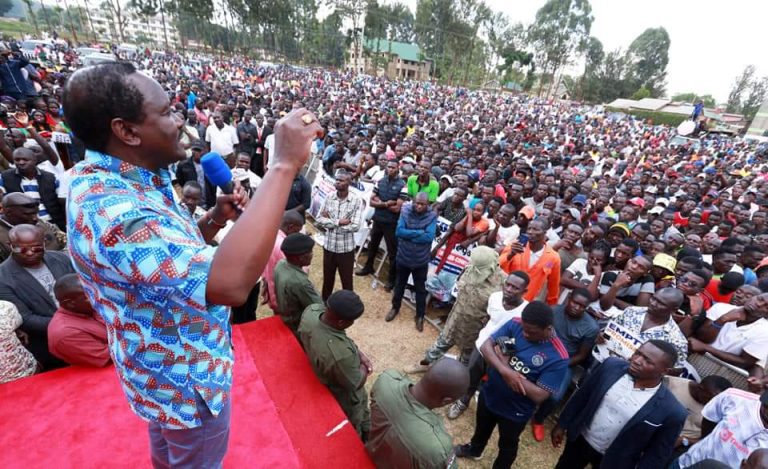 Kalonzo supports Wajackoyah on Bhang