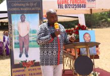 Senator Kiio accuses Ngilu of taking Ukambani to Kenya Kwanza