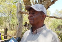 9 cows belonging to Mutua’s security head found dead in Matungulu