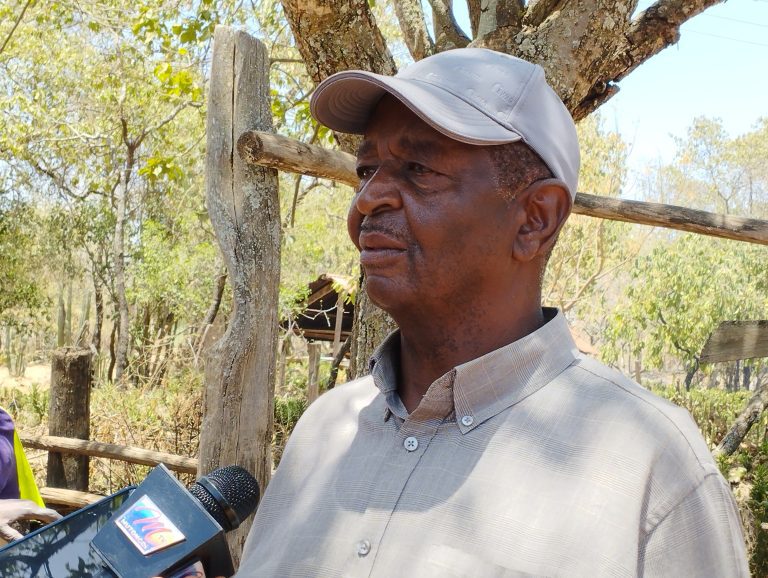 9 cows belonging to Mutua’s security head found dead in Matungulu