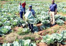 A look into Kalonzo’s 200-acre Yatta Ranch