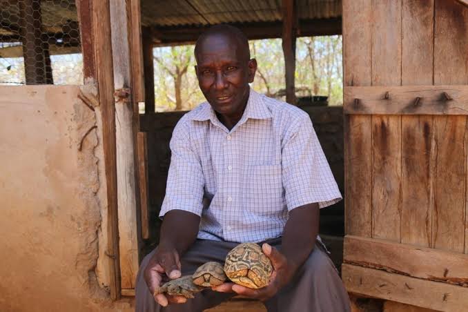 Kitui man making a kill in unpopular tortoise bussiness