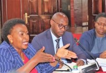 Senate directs Wavinya to reform Machakos Water Companies in 90 days