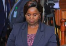 Tweep Maverick Aoko roasts CS Malonza