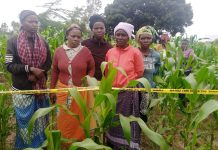 AICC Pastor found dead in Kangundo