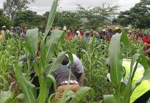 Murder suspect arrested over death of AICC Mukunike Pastor