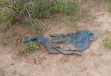 Fear of mass graves in B2 Yatta as decomposing body is discovered