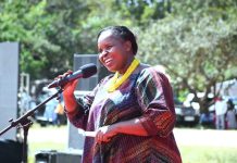 CS Malonza: Plan to end elephant invasion on course