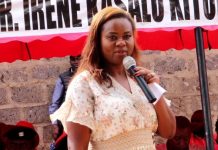 Kasalu to CS Malonza: We saved you in Parliament, save our people from human-wildlife conflict