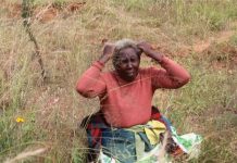 Granny accuses Machakos Lands CEC of grabbing her land