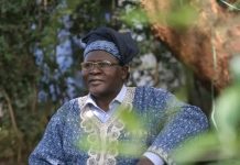 Renown author and African spiritualism believer – Who is David Maillu