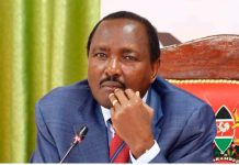 Kalonzo excited over Ruto’s 2027 remarks
