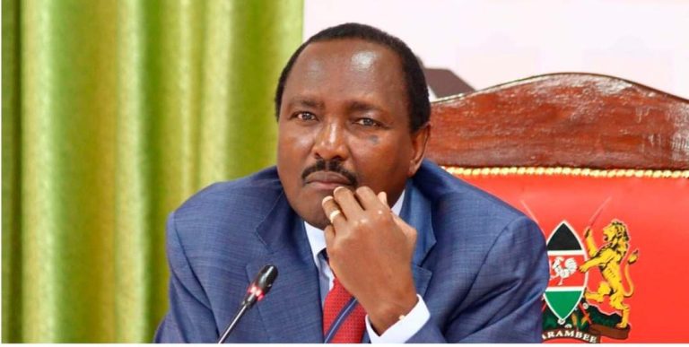 Kalonzo excited over Ruto’s 2027 remarks