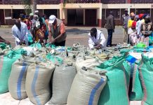 Kangundo: 1000 vulnerable households get relief food from NGO