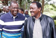 Kalonzo should be worried about Ruto’s visit to Nyanza -Analyst