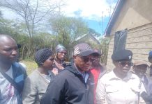 Government urged to involve local nurseries in tree-planting initiatives