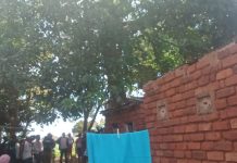 Kangundo: Trader falls from Avocado tree and dies