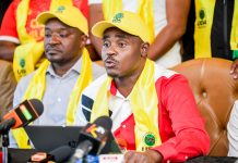 Ruto’s UDA Party supports Raila’s bid for AU Commission Chairperson