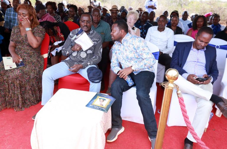 Kalonzo asks Kitui Speaker Kinengo to adhere to Wiper orders