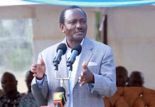 Kalonzo blasts Kenya Kwanza for suspending NEMA officers