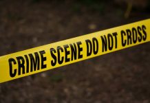 Man living alone brutally murdered in Matungulu