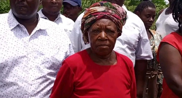 Kithimani: 75-year old woman seeks justice after land invasion and trees cut down