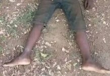 Kibwezi: 7-year-old boy drowns while watering goats