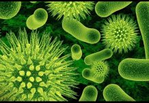 Mwingi: Panic as Unknown Disease Kills 2 Children