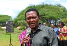 CS Alfred Mutua renews scathing attacks on Kalonzo Musyoka