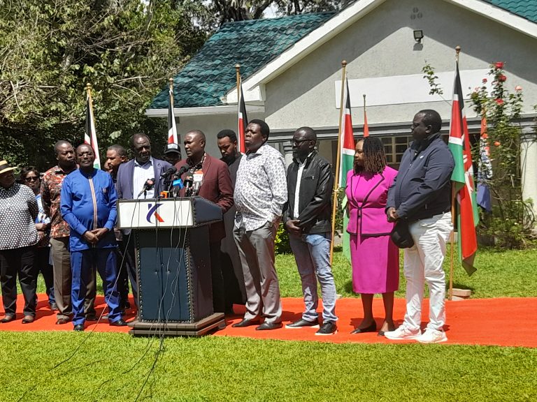Kathiani MP Message to Kenya Kwanza Leaders Criticizing Youths for Protesting