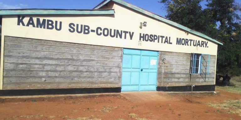 Autopsy Reveals Shocking Cause of Death of Makueni Baby in Police Custody