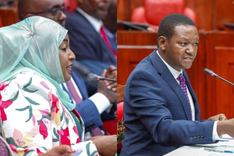 Mishi Mboko takes on Alfred Mutua over Marital Status during vetting