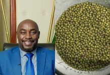 Kitui Senator Speaks after uproar on his mung beans bill