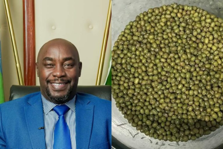 Kitui Senator Speaks after uproar on his mung beans bill