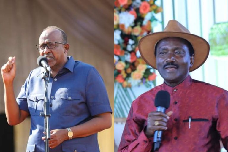 Duale and Junet tell off Kalonzo for declaring himself Opposition leader